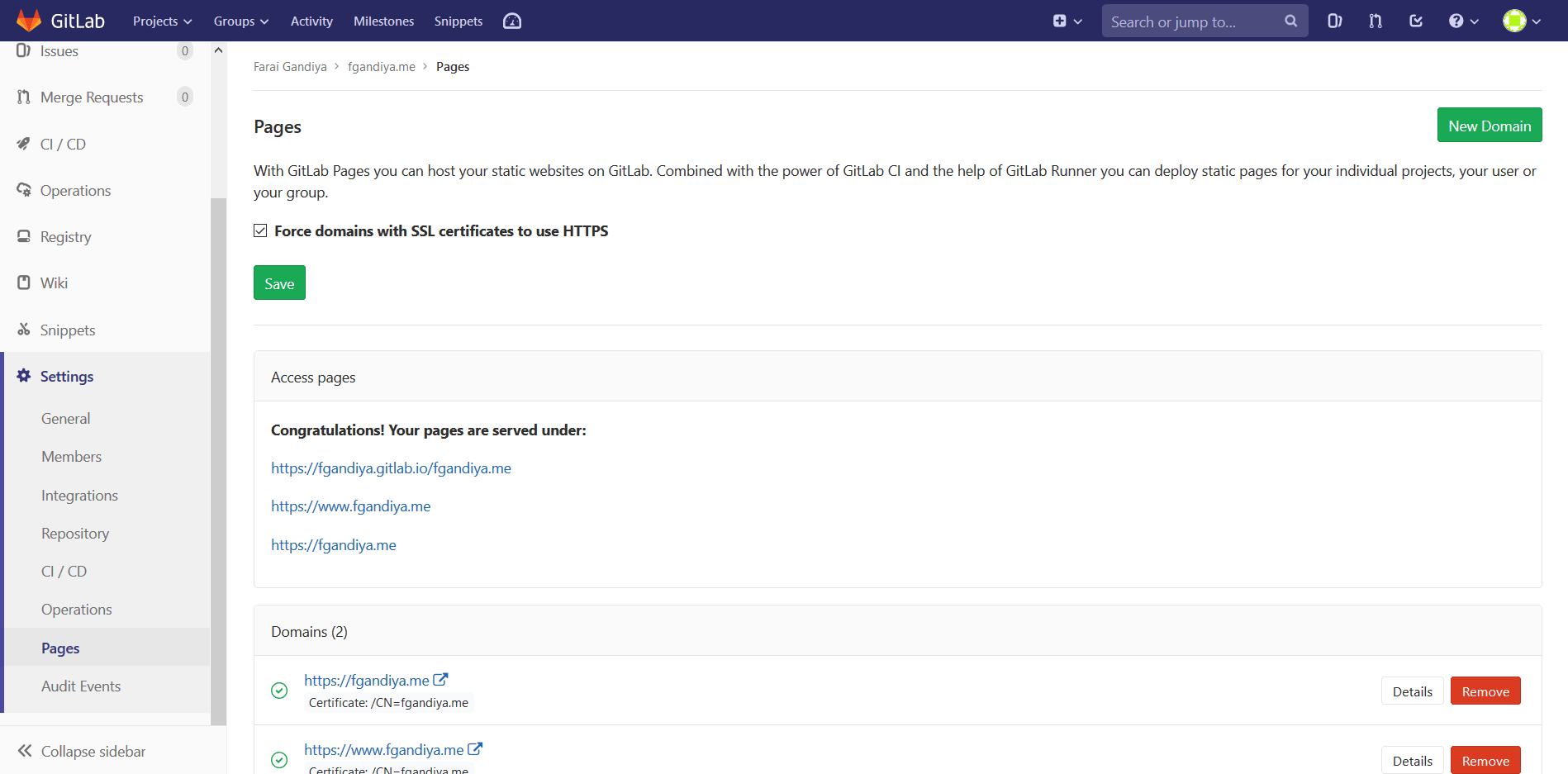 The settings page for GitLab Pages