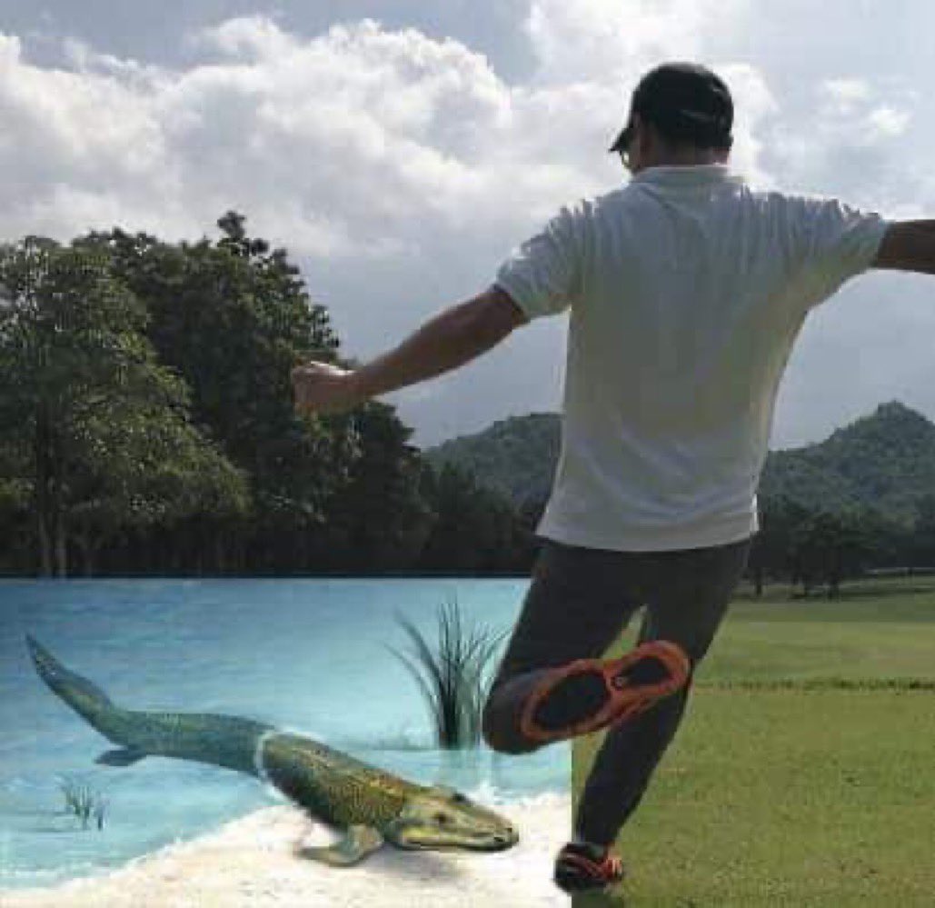 A badly photoshopped image of a man trying to yeet tiktaalik, a long fish crawling onto land, with a kick